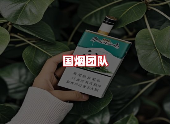 国烟团队